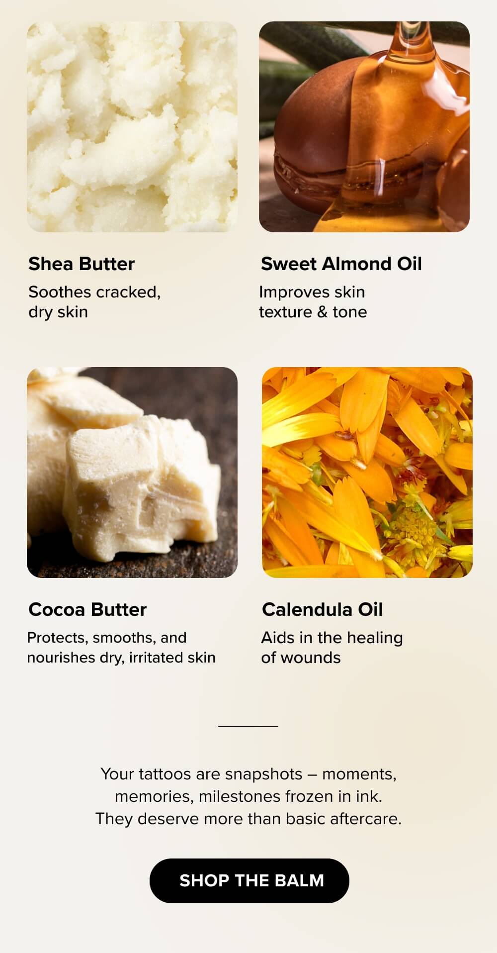 [ SHOP THE BALM ]