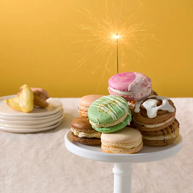 Giant Artisan Macaron Sampler Set