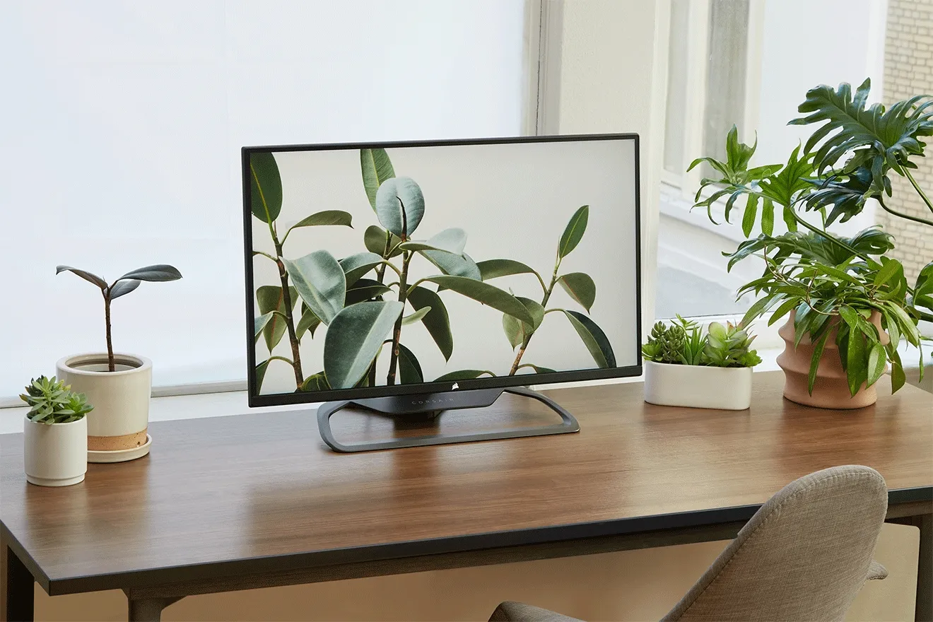 A Whole NEO Battlestation