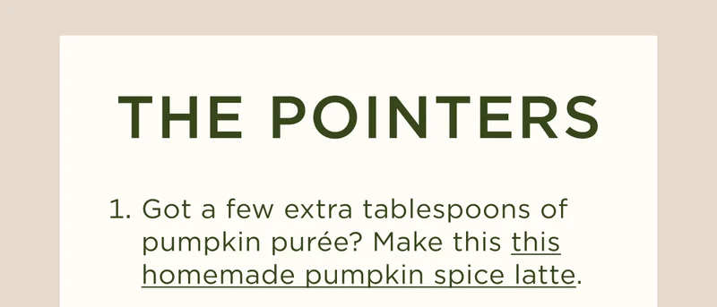 THE POINTERS