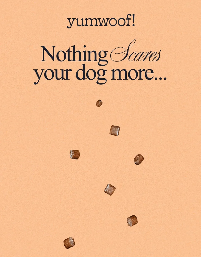 yumwoof! | Nothing Scares your dog more...