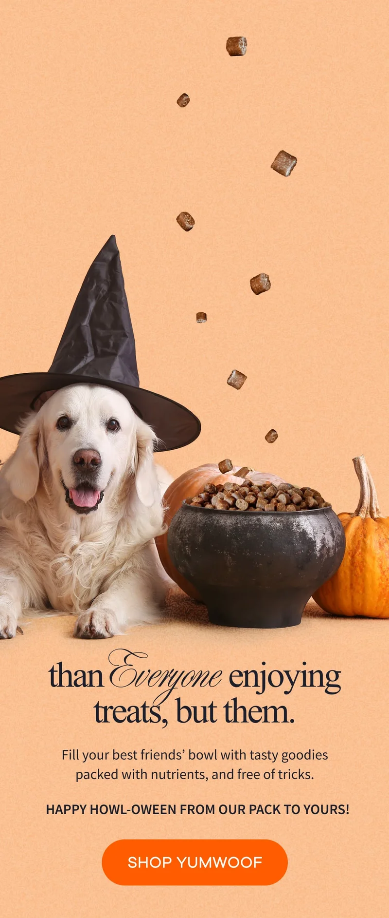 than everyone enjoying treats, But Them. | Fill your best friends’ bowl with tasty goodies packed with nutrients, and free of tricks. | Happy Howl-oween from our pack to yours! | SHOP YUMWOOF