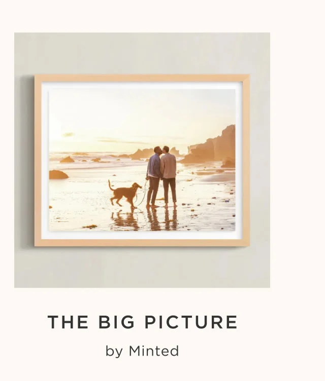 The Big Picture