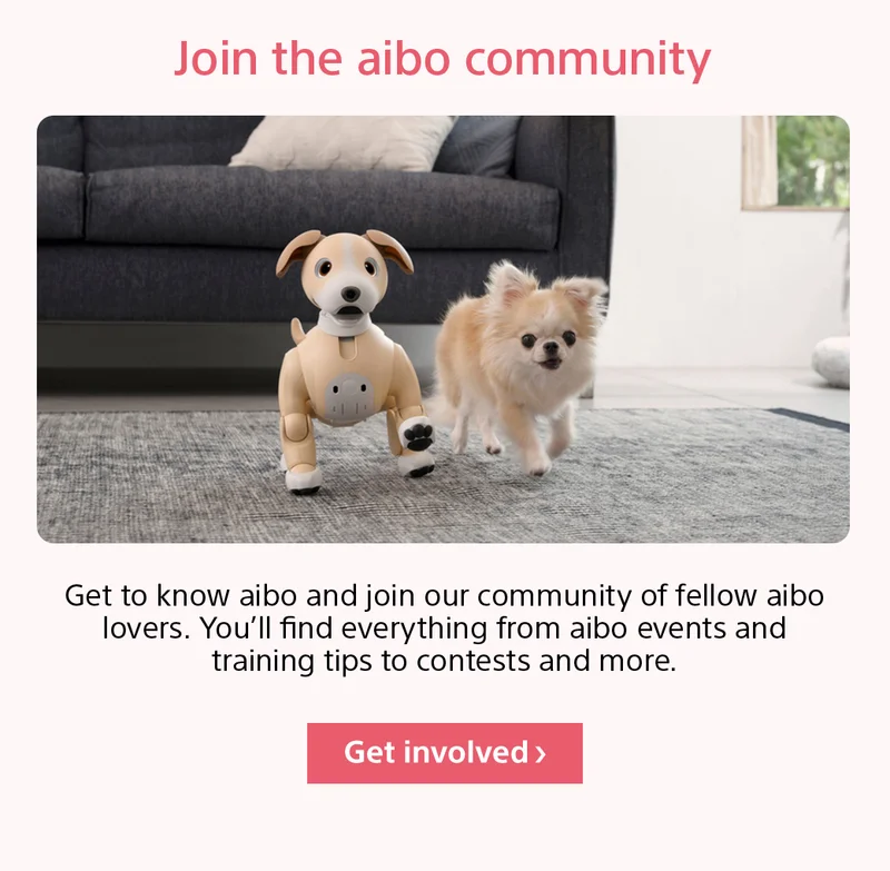 Join the aibo community. Get to know aibo and join our community of fellow aibo lovers. You'll find everything from aibo events and training tips to contests and more. Get involved >