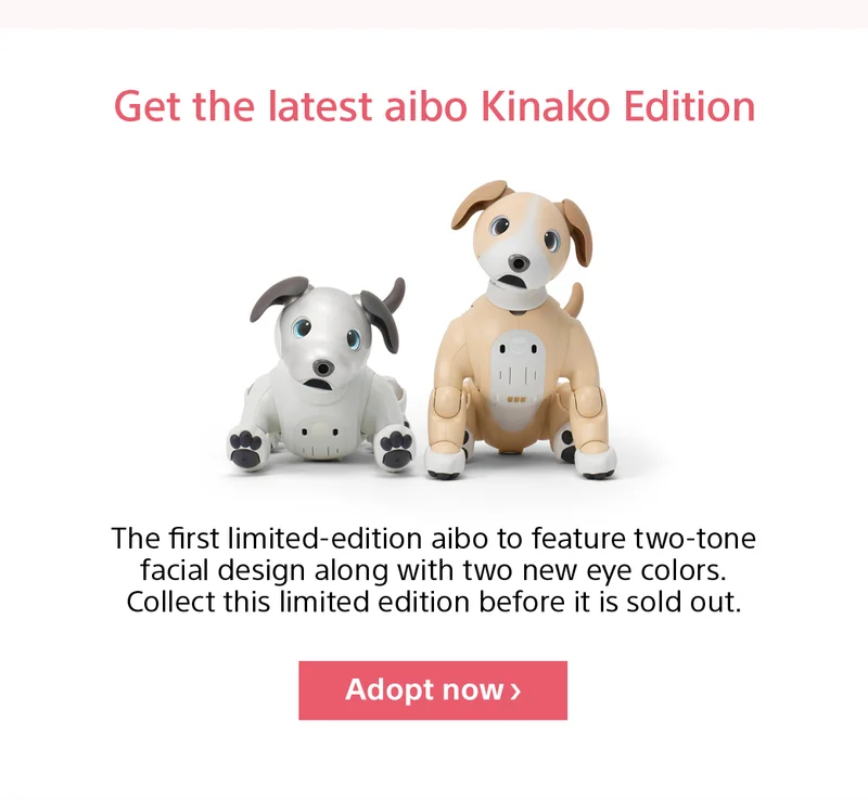 Get the latest aibo Kinako Edition