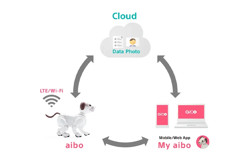 Every aibo includes a 3 year AI Cloud Plan.
