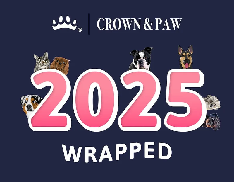 2025 WRAPPED