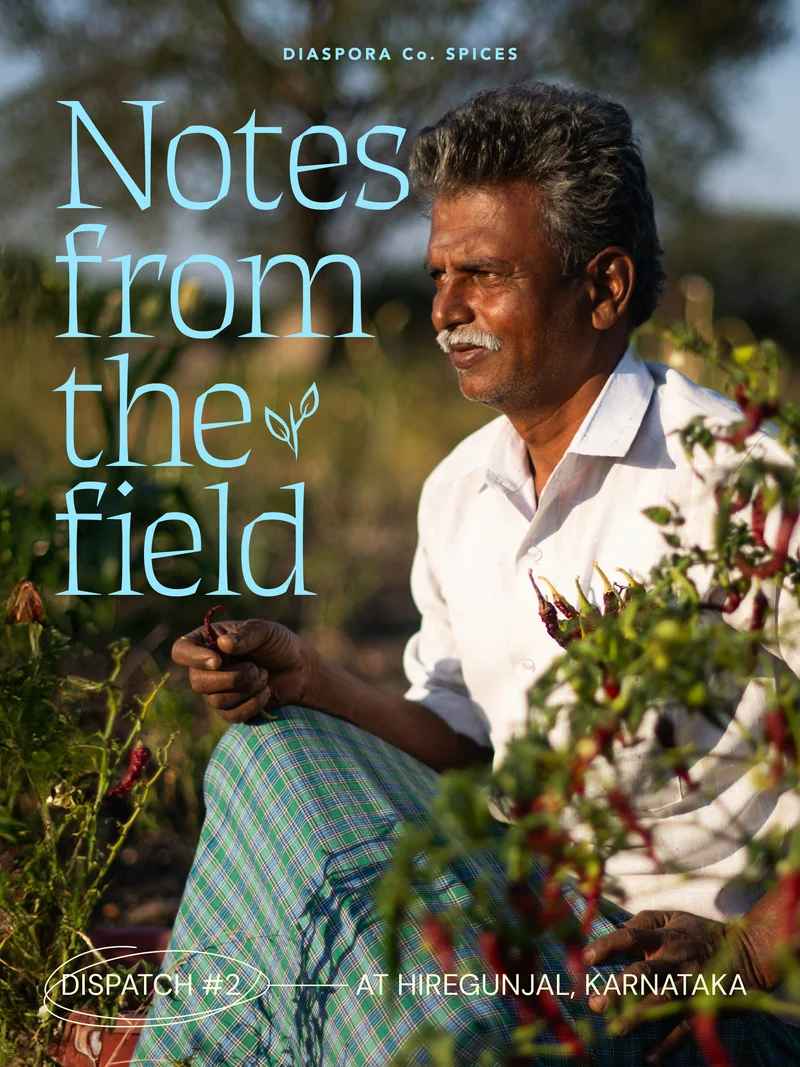 Notes from the field Dispatch #2