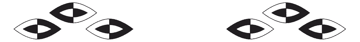 Mystique eye border