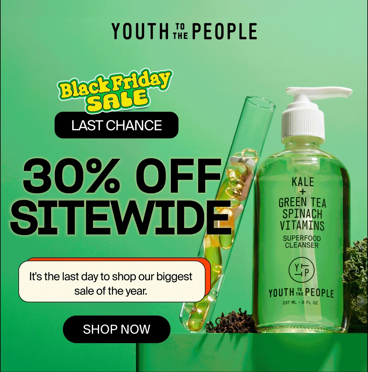 Black Friday Sale