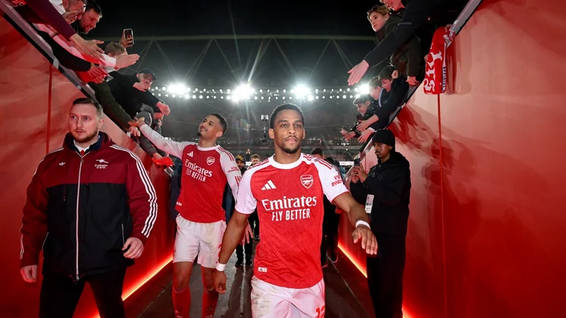 TIMBER SETTLES ARSENAL NERVES TIMBER SETTLES ARSENAL NERVES