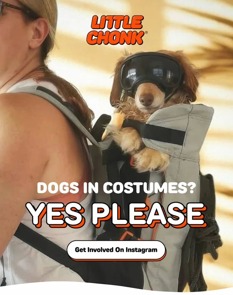 DOGS IN COSTUMES? YES PLEASE YES PLEASE