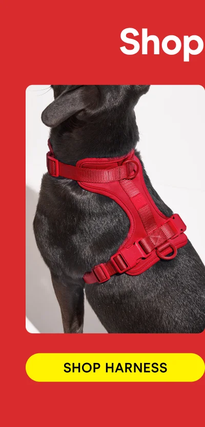 Shop Harness
