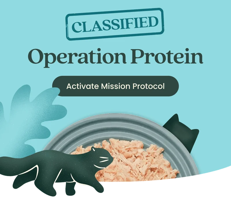 Activate Mission Protocol