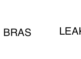 Bra