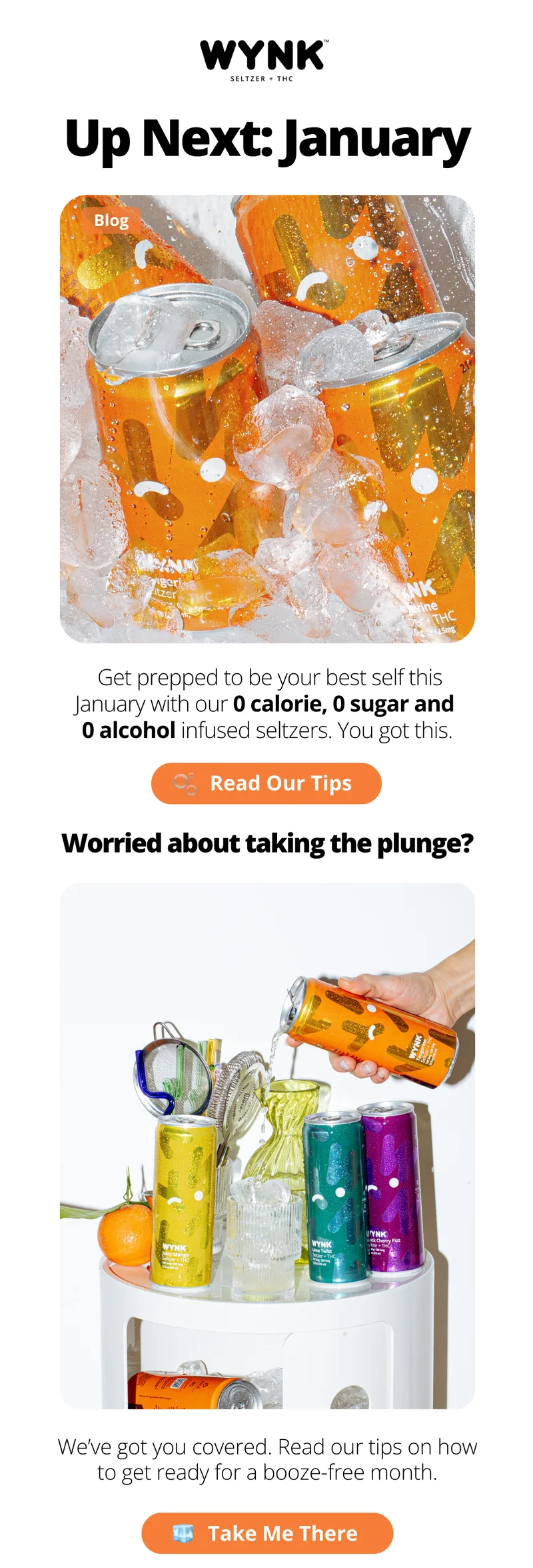 Dry January Tips