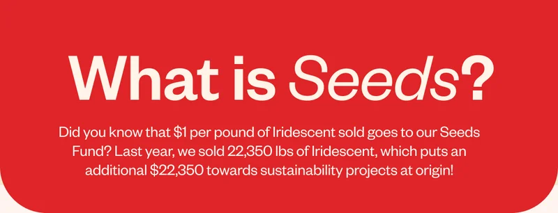 What is Seeds?Did you know that $1 per pound of Iridescent sold goes to our Seeds Fund? Last year, we sold 22,350 lbs of Iridescent, which puts an additional $22,350 towards sustainability projects at origin!