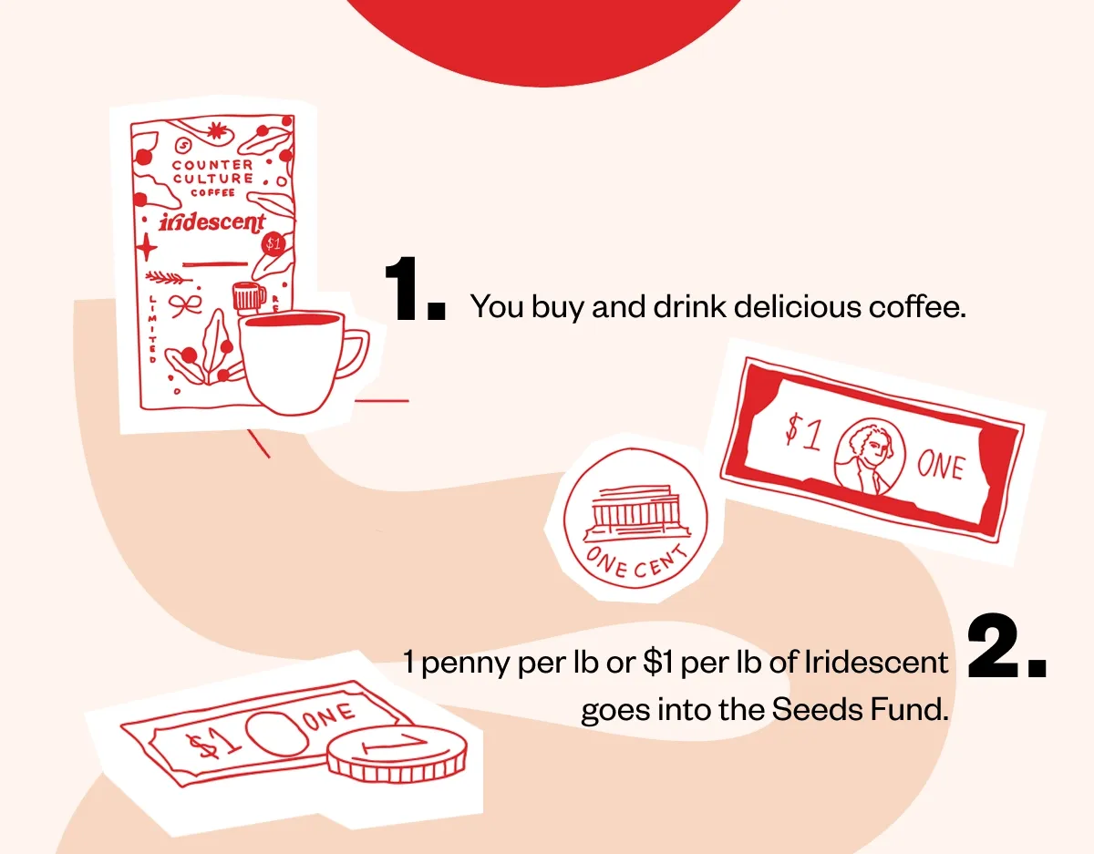 You buy and drink delicious coffee.   1 penny per lb or $1 per lb of Iridescent goes into the Seeds Fund.