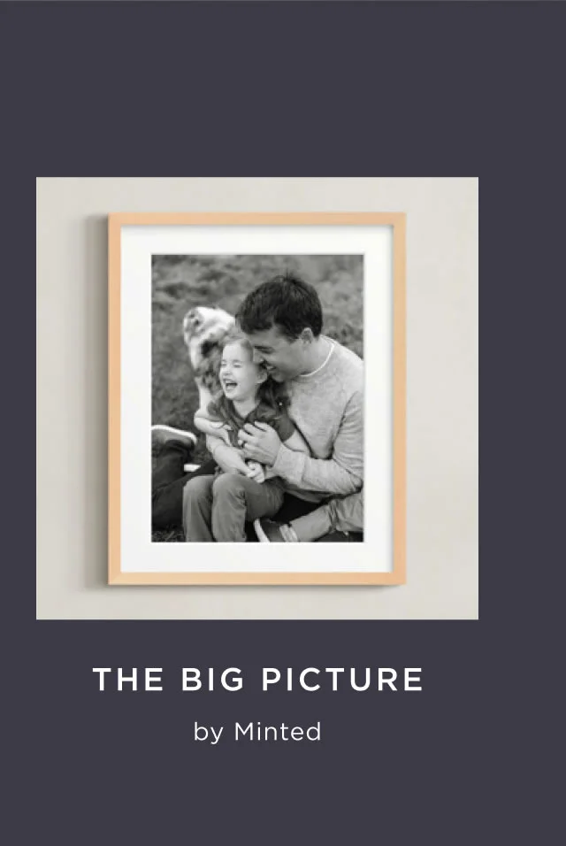 The Big Picture
