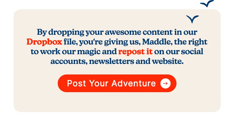By dropping your awesome content in our dropbox file, you're giving us, Maddle, the right to work our magic and repost it on our social accounts, newsletters and website ✨📲