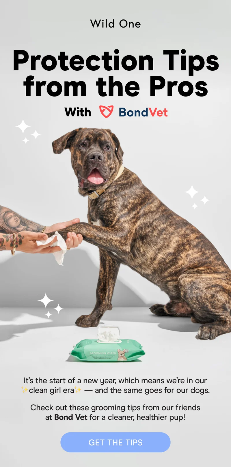 It's the start of a new year, which means we're in our clean girl era - and the same goes for our dogs. Check out these grooming tips from our friends at Bond Vet for a cleaner, healthier pup!