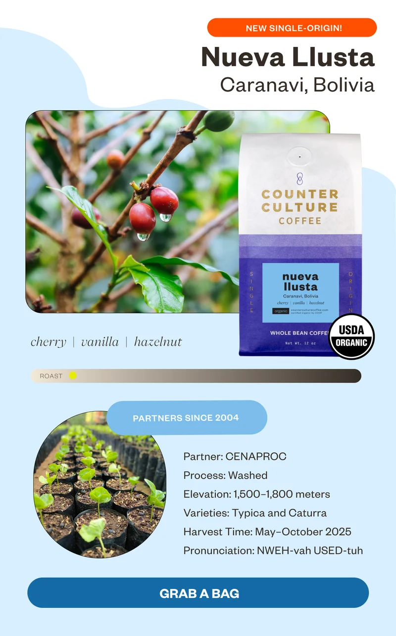 New Single- Origin Nueva Llusta Caravani, Bolivia cherry vanilla hazelnut Partners Since 2019 Partnership Name: CENAPROC. Process: Washed Elevation: 1,500–1,800 meters Varieties: Typica and Caturra.Harvest Time: May–October 2025.   Pronunciation: NWEH-vah USED-tuh.    GRAB A BAG