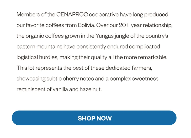 Members of the CENAPROC cooperative have long produced our favorite coffees from Bolivia. Over our 20+ year relationship, the organic coffees grown in the Yungas jungle of the country’s eastern mountains have consistently endured complicated logistical hurdles, making their quality all the more remarkable. This lot represents the best of these dedicated farmers, showcasing subtle cherry notes and a complex sweetness reminiscent of vanilla and hazelnut.