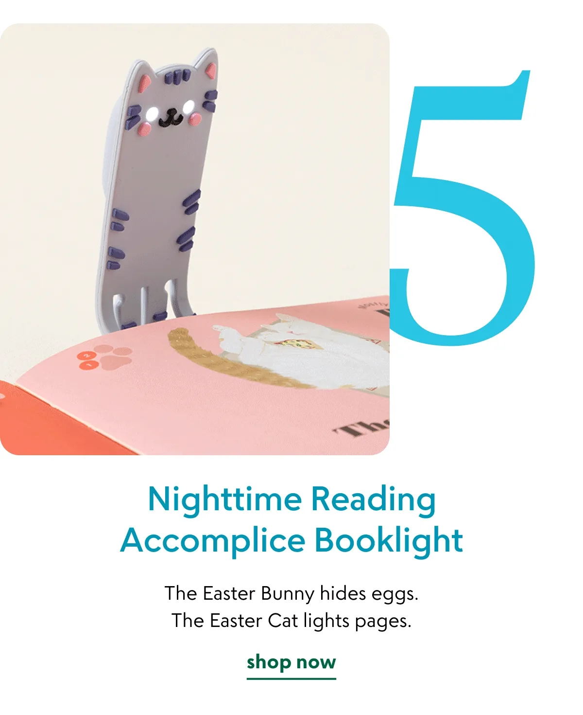 nighttime-reading-accomplice-booklight