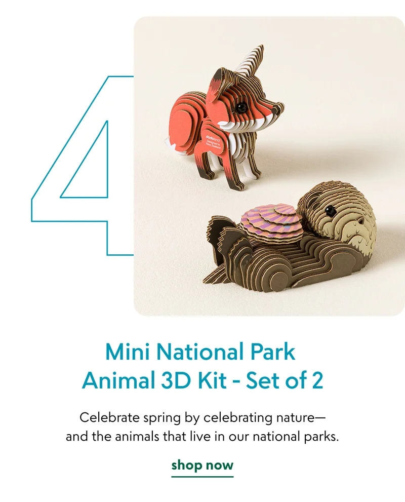mini-national-park-animal-3d-kit-set-of-2