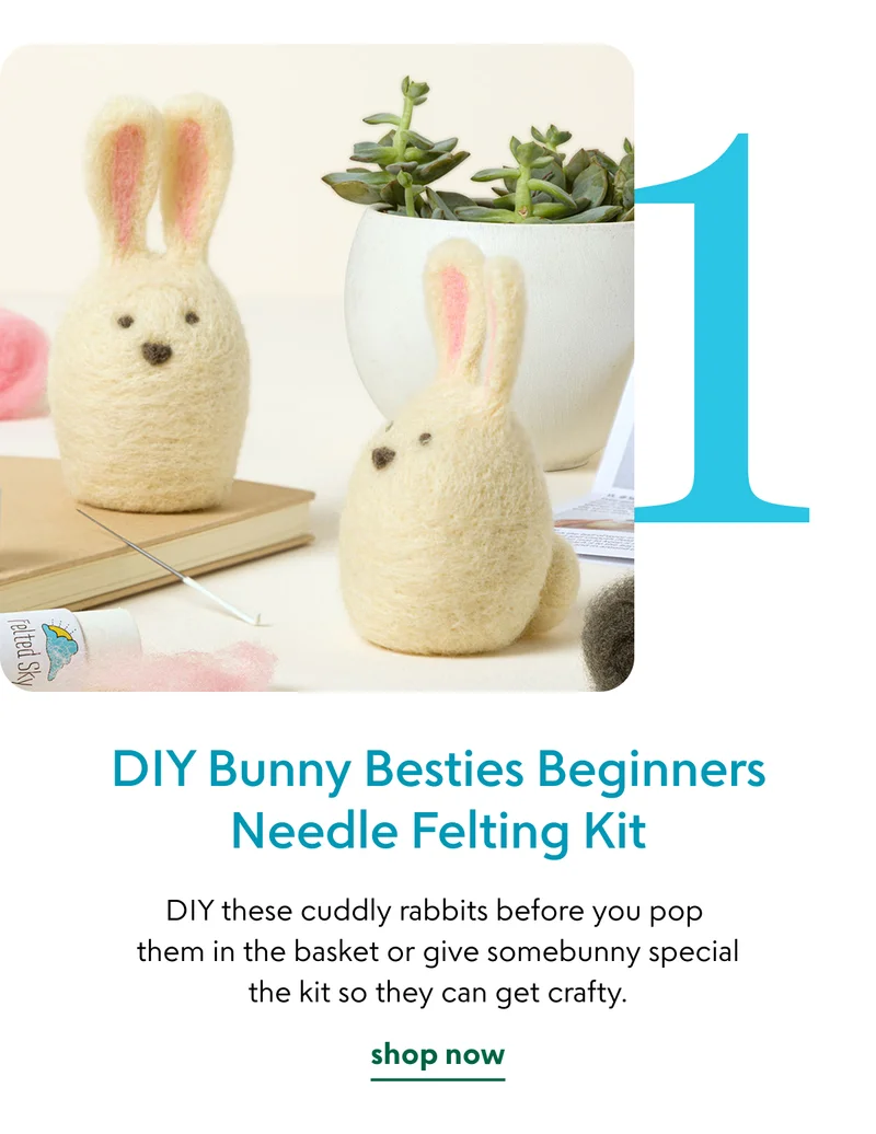 diy-bunny-besties-beginners-needle-felting-kit