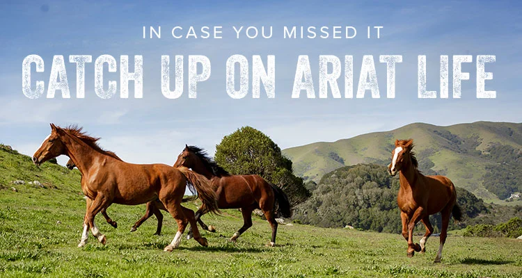 IN CASE YOU MISSED IT. CATCH UP ON ARIAT LIFE