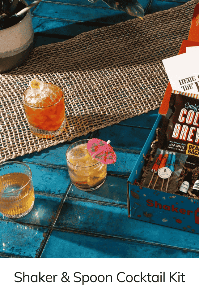 Shaker & Spoon Cocktail Kit