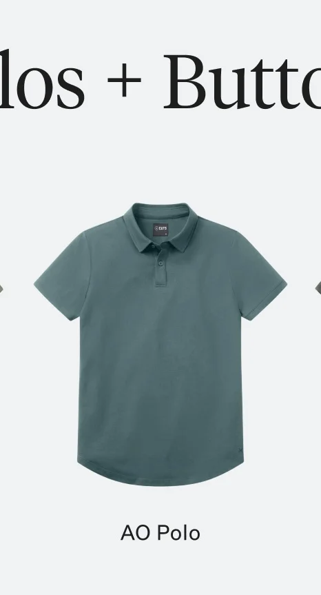 AO Polo