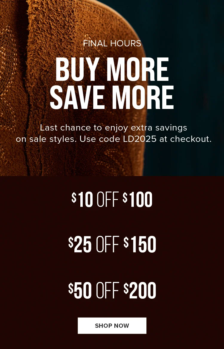 FINAL HOURS. BUY MORE. SAVE MORE. SHOP NOW