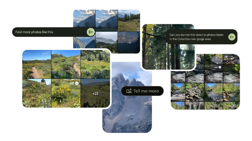 Nature photo collage with search bubbles