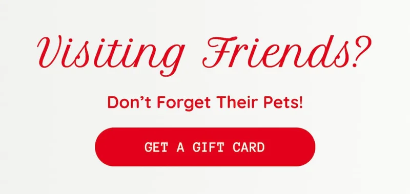 Visiting Friends?