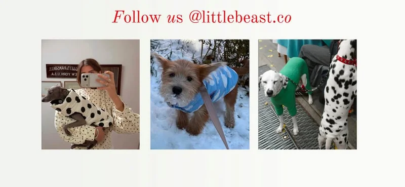 Follow us on Instagram