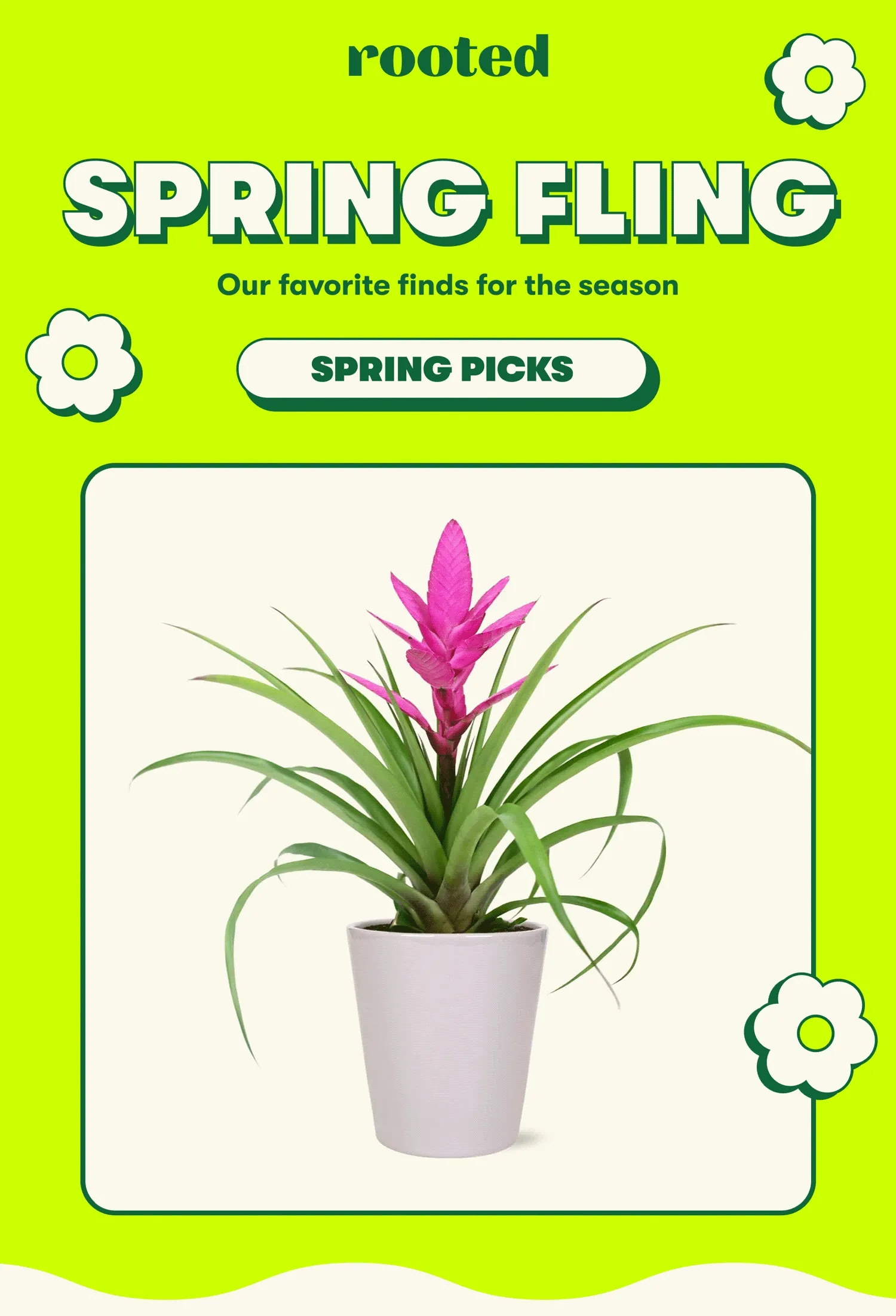 SPRING FLING Our favorite finds for the season  [SPRING PICKS]