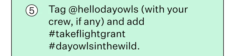 Tag @hellodayowls (with your crew, if any) and add #takeflightgrant #dayowlsinthewild.