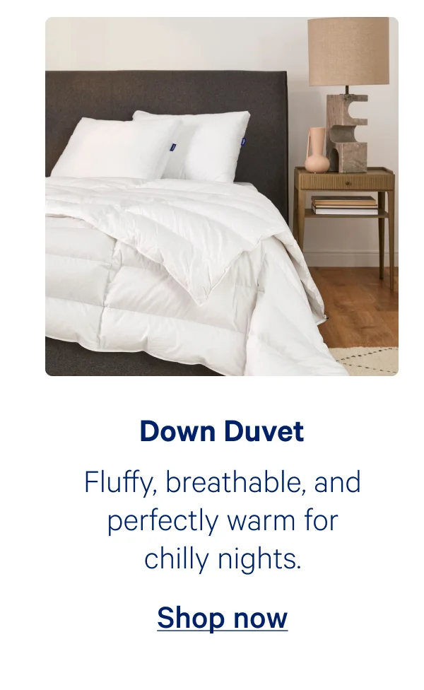 Down Duvet