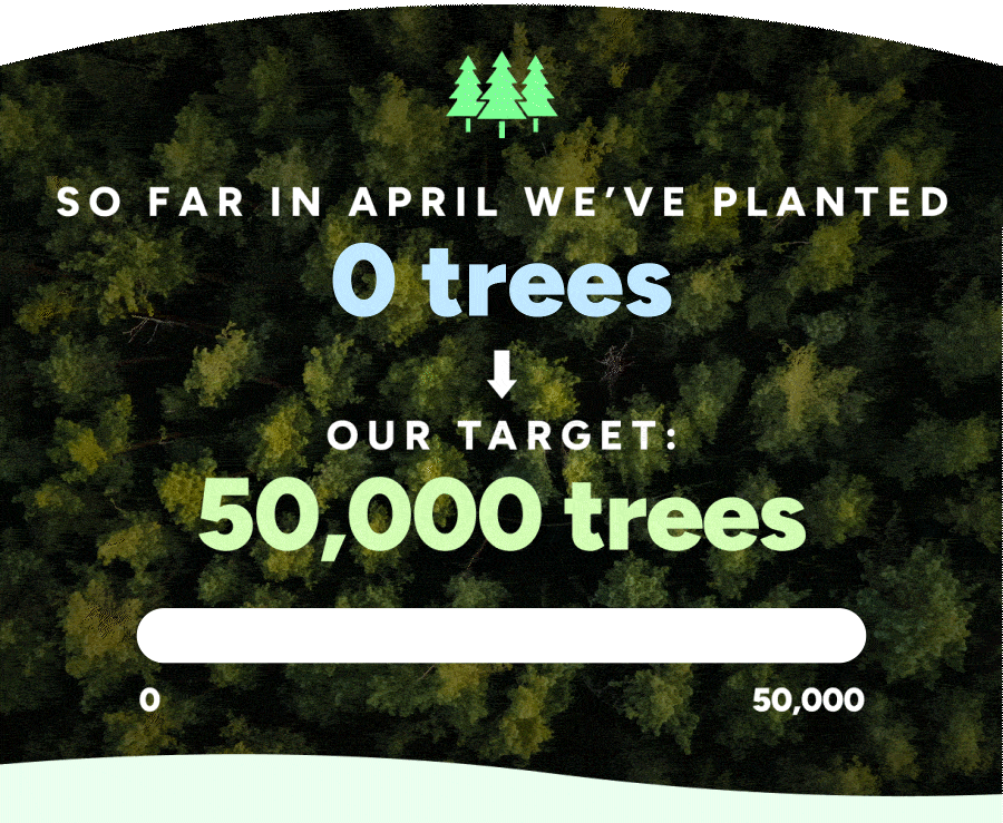 So far in April we've planted 40,000 trees – our target: 50,000