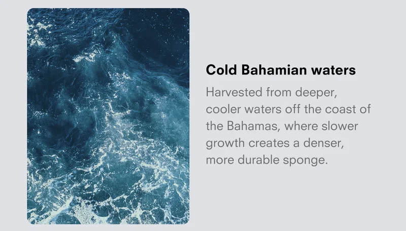 Cold Bahamian waters