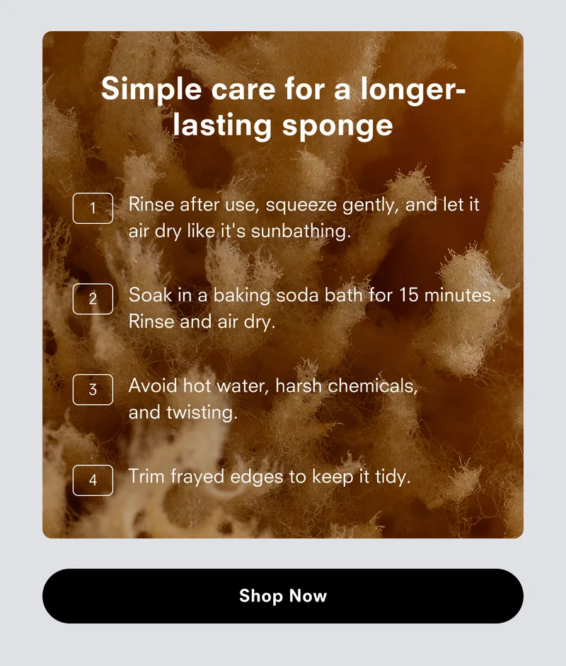 Simple care for a longer-lasting sponge