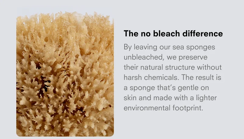 The no bleach difference