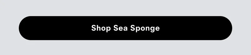 Shop Sea Sponge