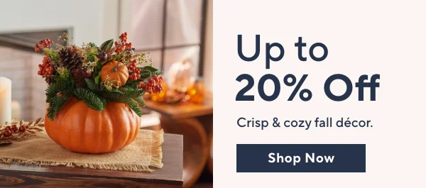 Fall Decor Sale up to 20% Off