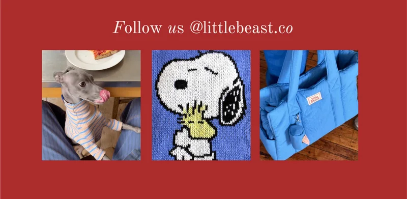 Follow us on Instagram