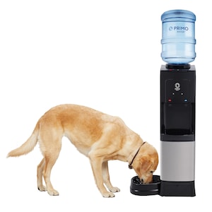 Save $40: Primo Water Cooler