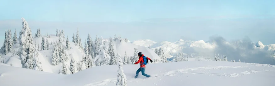 Visit All Trails