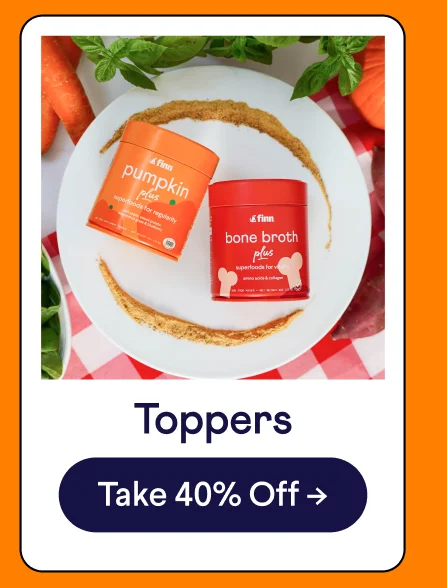 Toppers: Shop Now –>